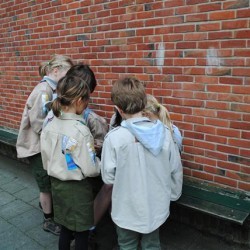 DSC 0078  Small - Scouts en Gidsen Zaventem 